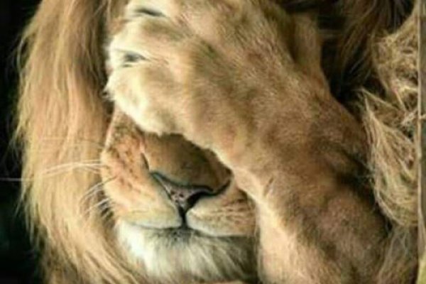 Omg наркотики