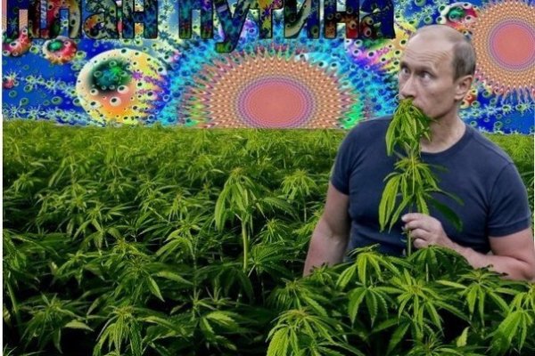 Адрес омг сайта