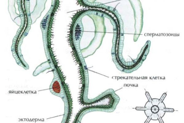 Omg omg зеркало рабочее