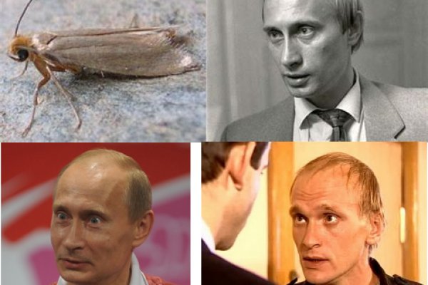 Маркетплейс омг