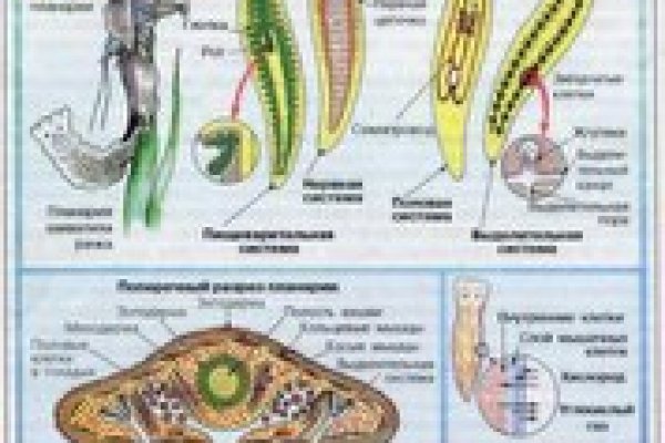 Зеркало омг омг рабочее на сегодня